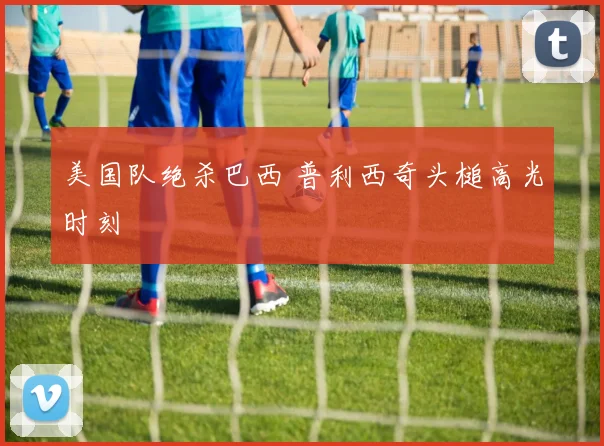 美国队绝杀巴西 普利西奇头槌高光时刻