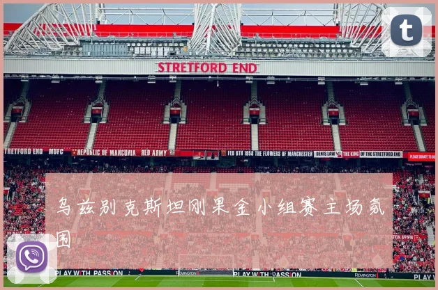 乌兹别克斯坦刚果金小组赛主场氛围
