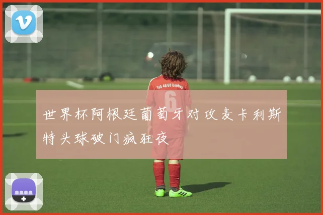 世界杯阿根廷葡萄牙对攻麦卡利斯特头球破门疯狂夜